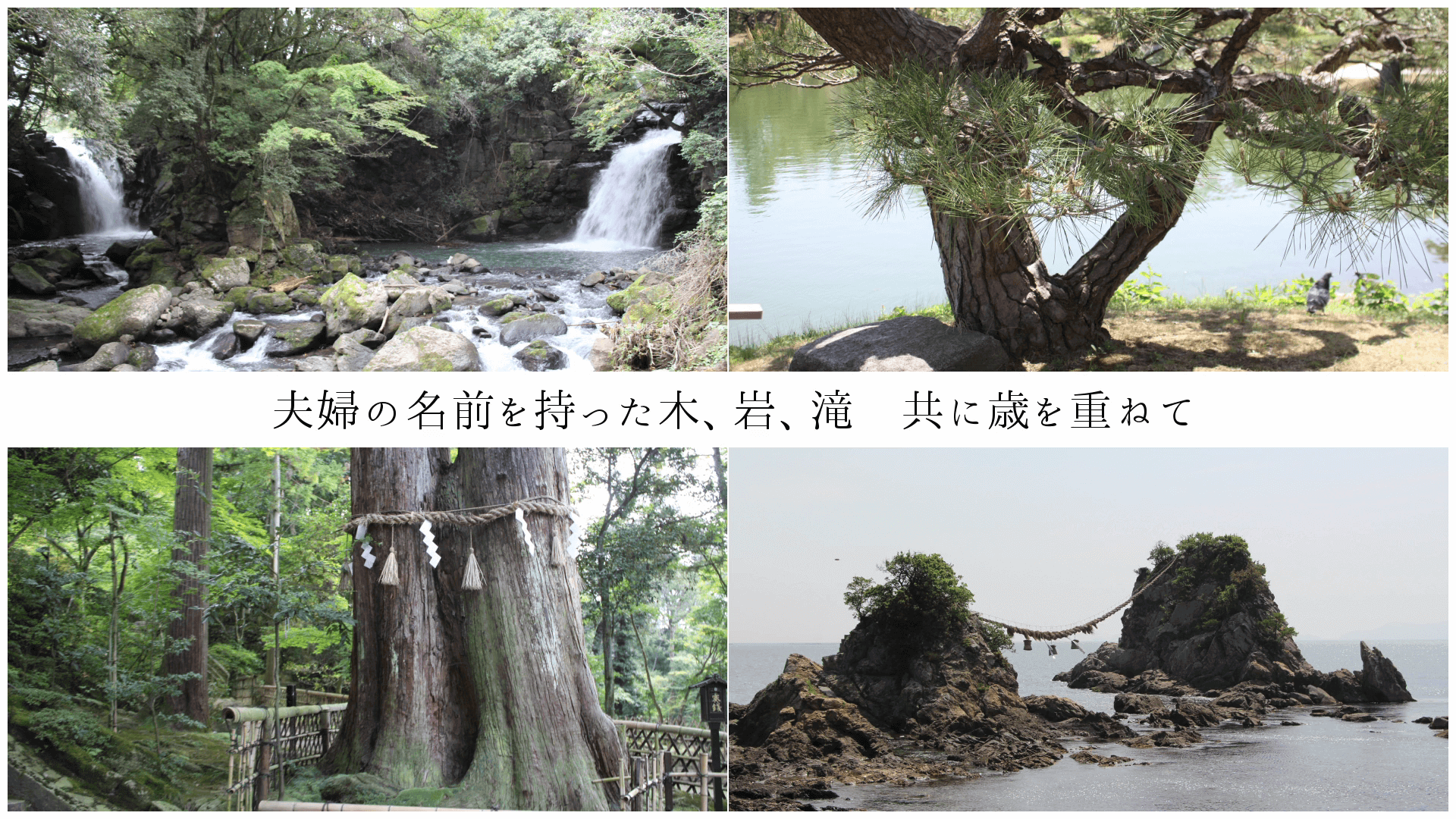 夫婦の名前を持った木、岩、滝 共に歳を重ねて