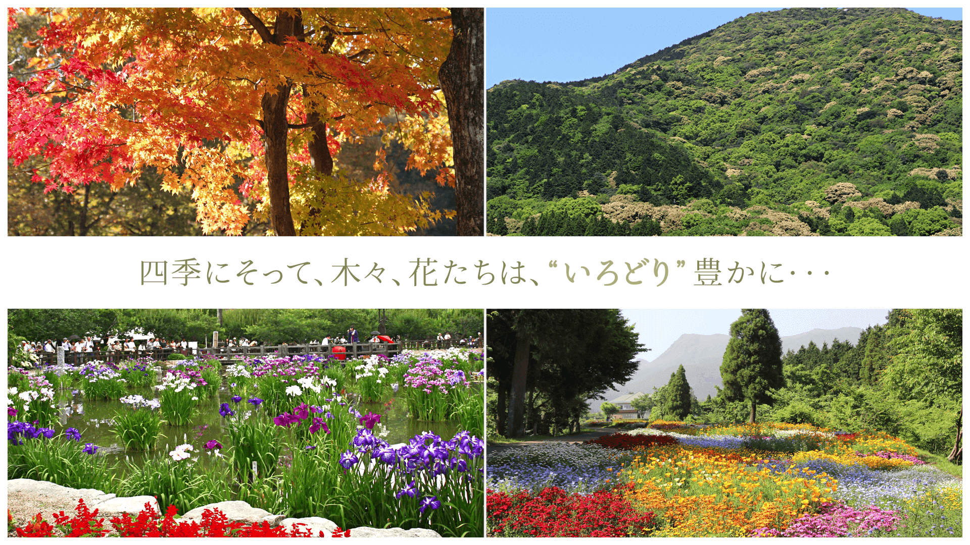四季にそって、木々、花たちは、“いろどり”豊かに・・・