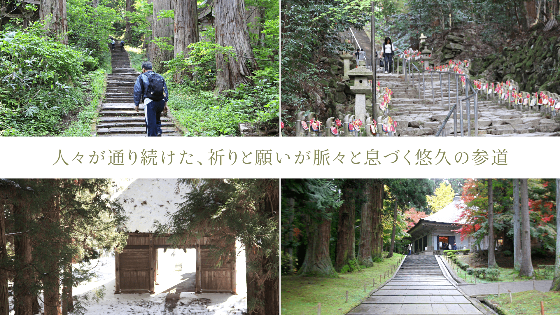 人々が通り続けた、祈りと願いが脈々と息づく悠久の参道