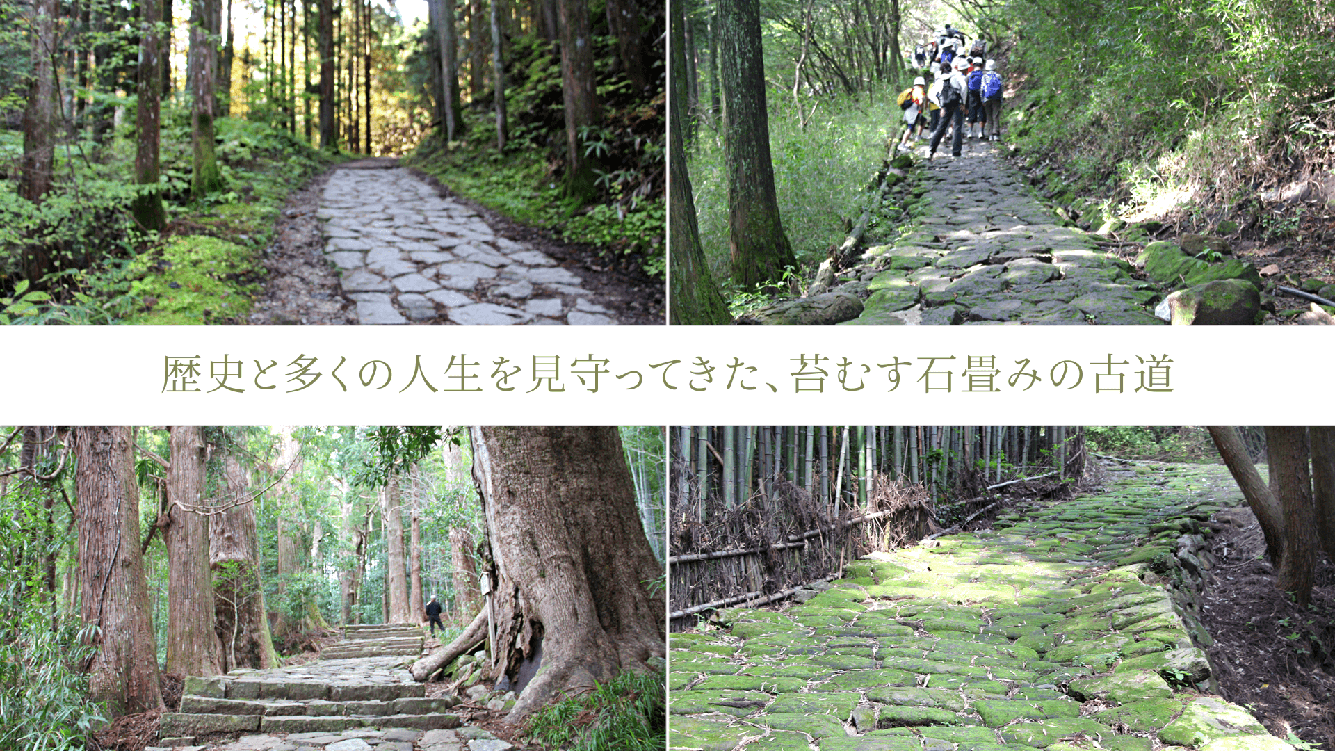 歴史と多くの人生を見守ってきた、苔むす石畳みの古道