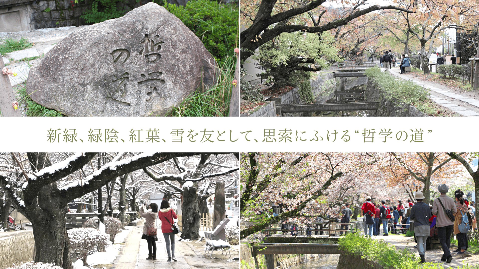 新緑、緑陰、紅葉、雪を友として、思索にふける“哲学の道”