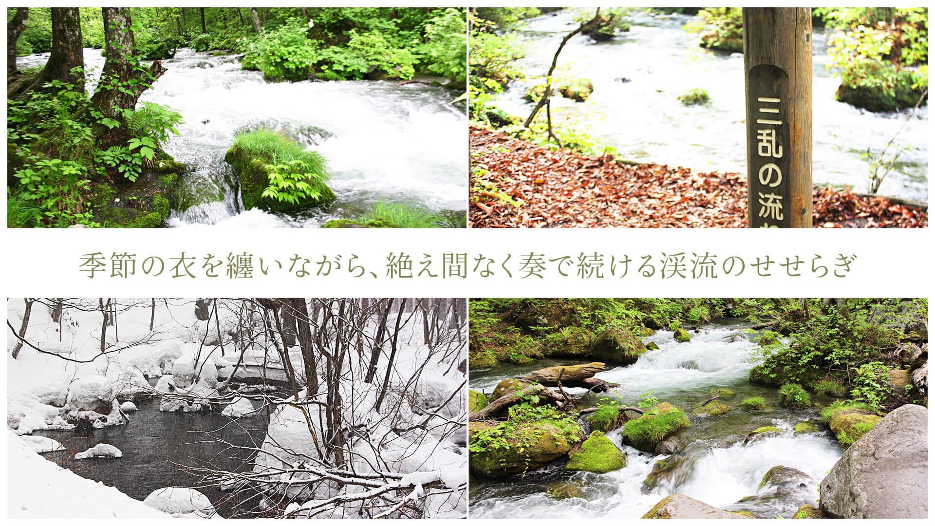 季節の衣を纏いながら、絶え間なく奏で続ける渓流のせせらぎ