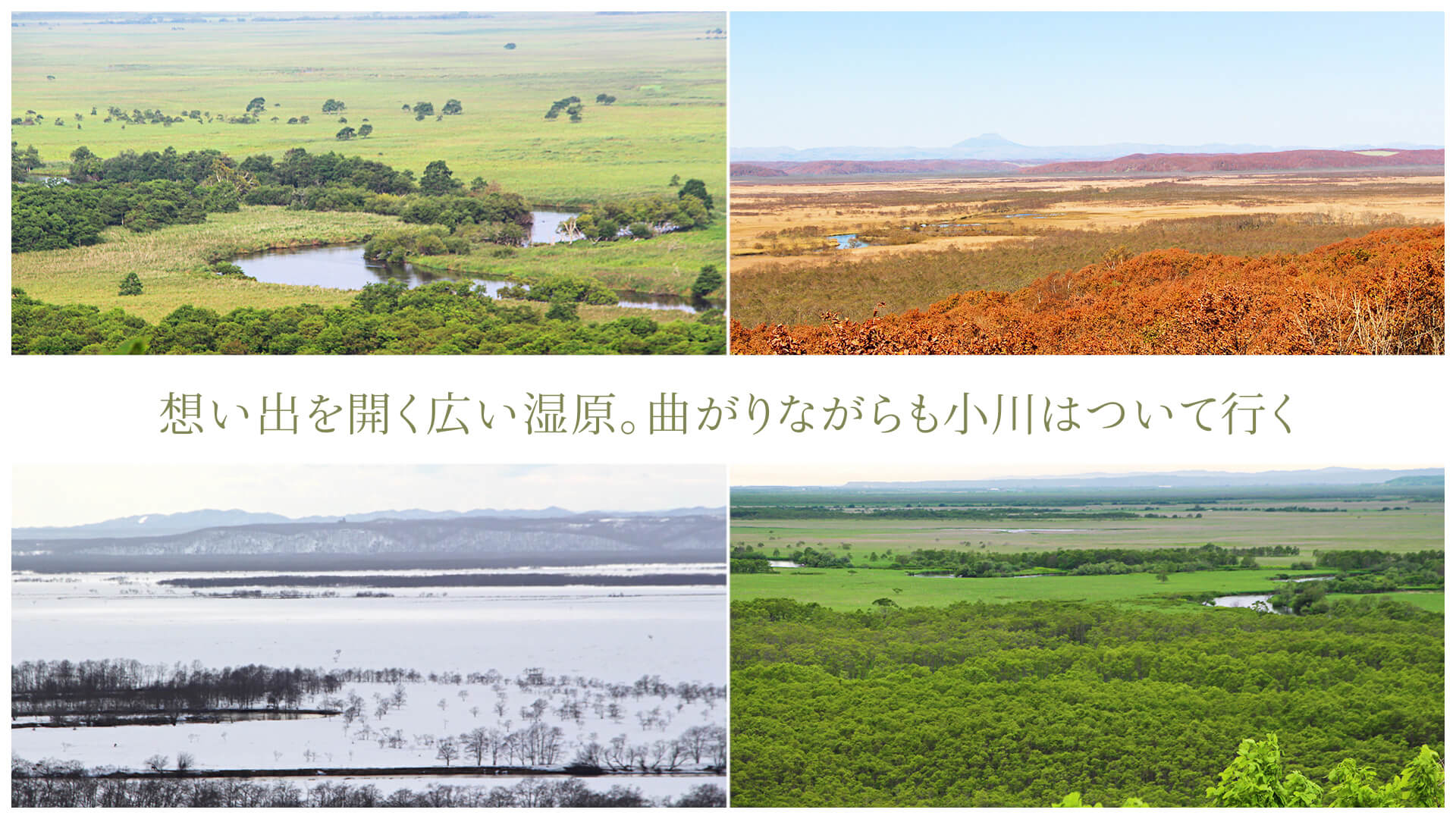 想い出を開く広い湿原。曲がりながらも小川はついて行く