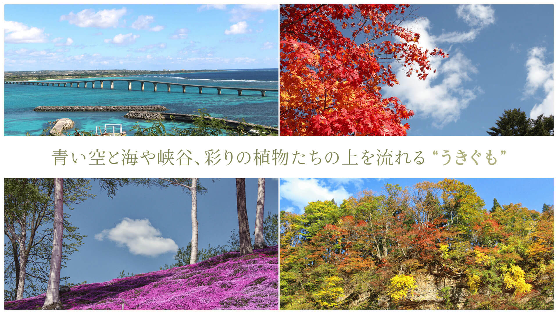 青い空と海や峡谷、彩りの植物たちの上を流れる“うきぐも”