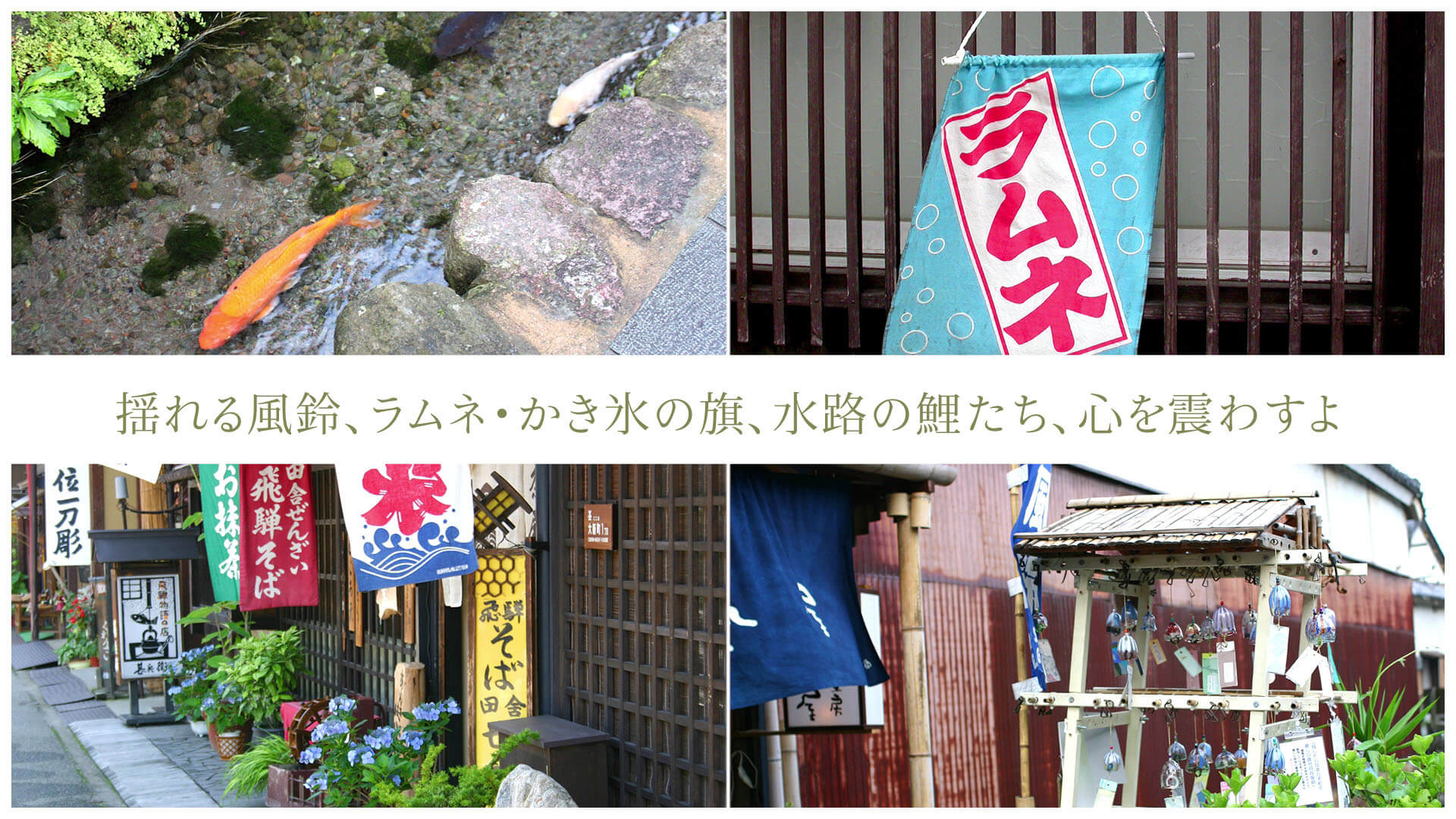 揺れる風鈴、ラムネ・かき氷の旗、水路の鯉たち、心を震わすよ