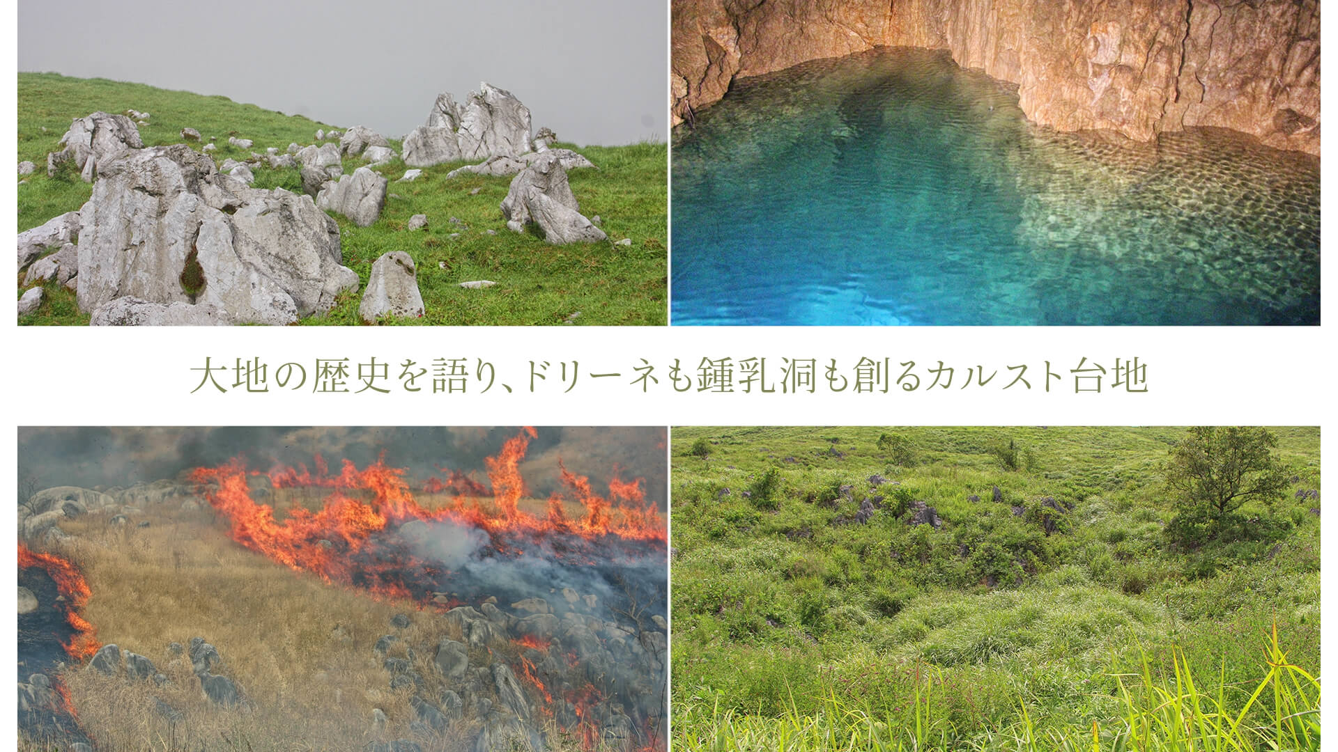 大地の歴史を語り、ドリーネも鍾乳洞も創るカルスト台地