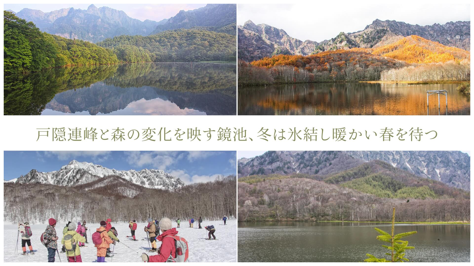 戸隠連峰と森の変化を映す鏡池、冬は氷結し暖かい春を待つ