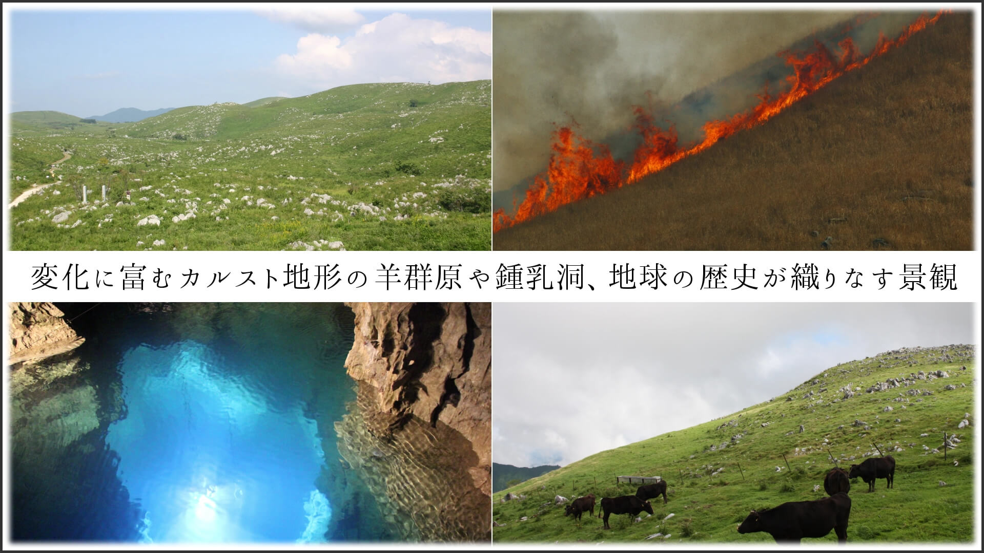 変化に富むカルスト地形の羊群原や鍾乳洞、地球の歴史が織りなす景観