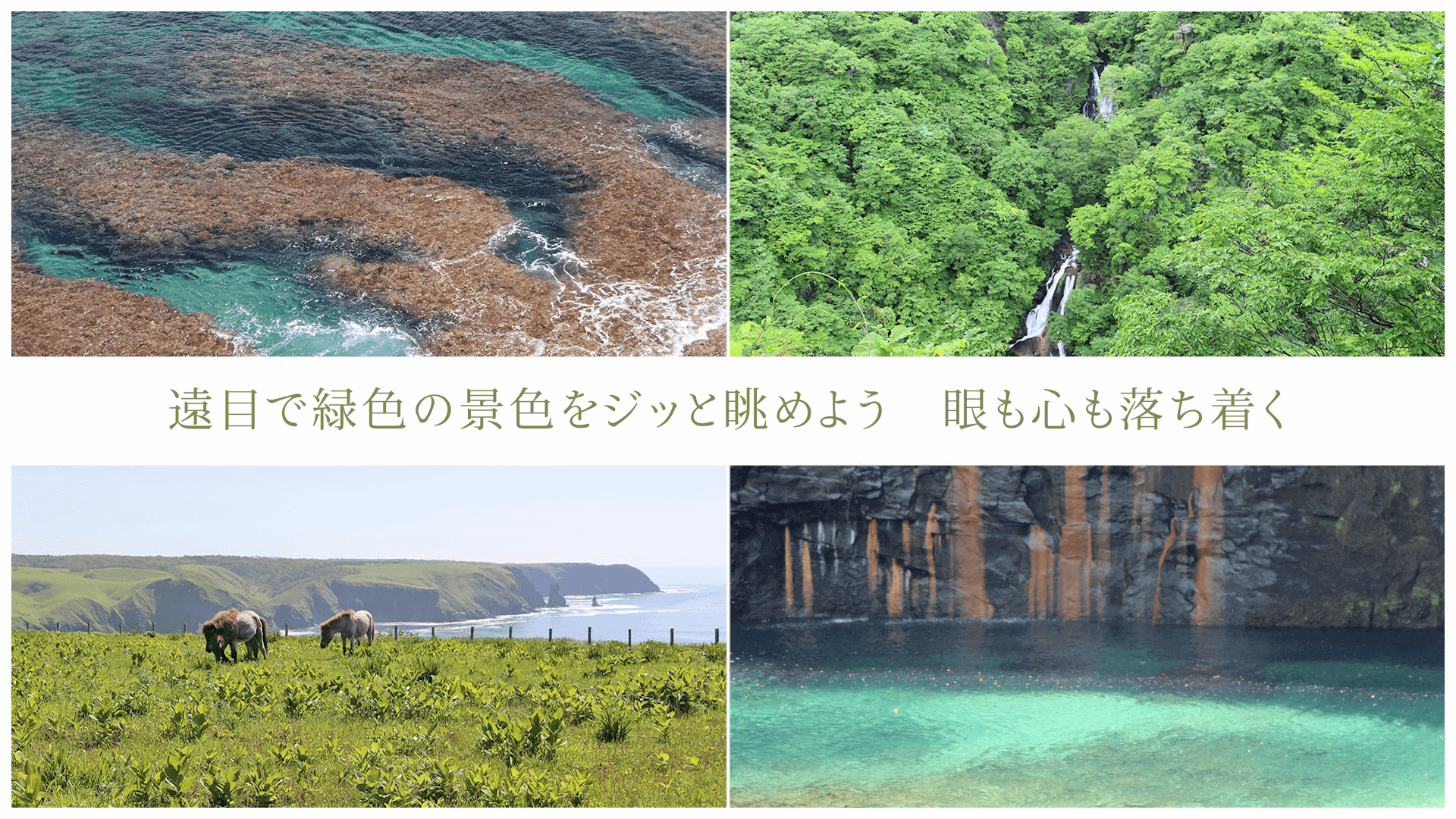 遠目で緑色の景色をジッと眺めよう 眼も心も落ち着く