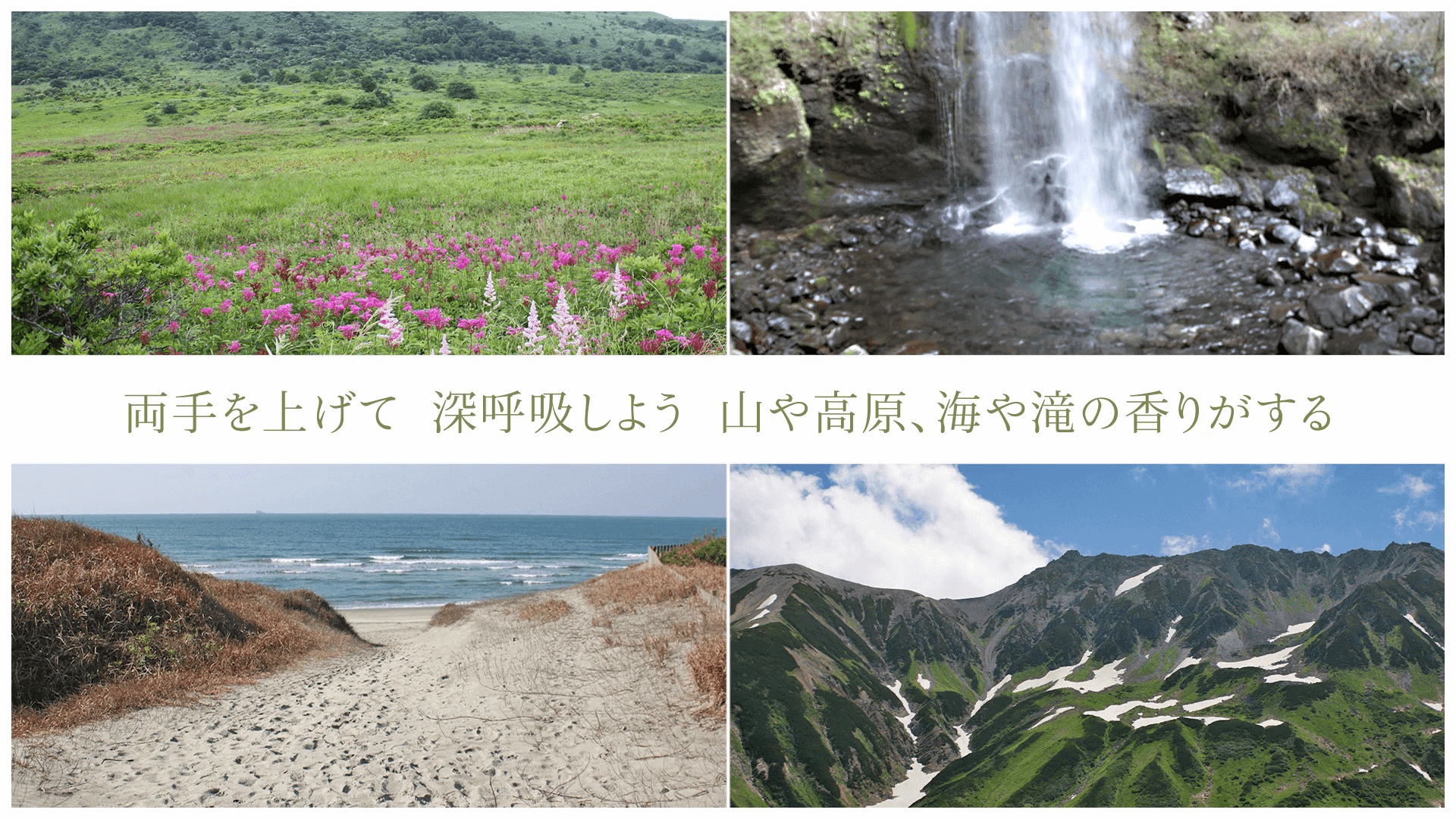 両手を上げて 深呼吸しよう 山や高原、海や滝の香りがする
