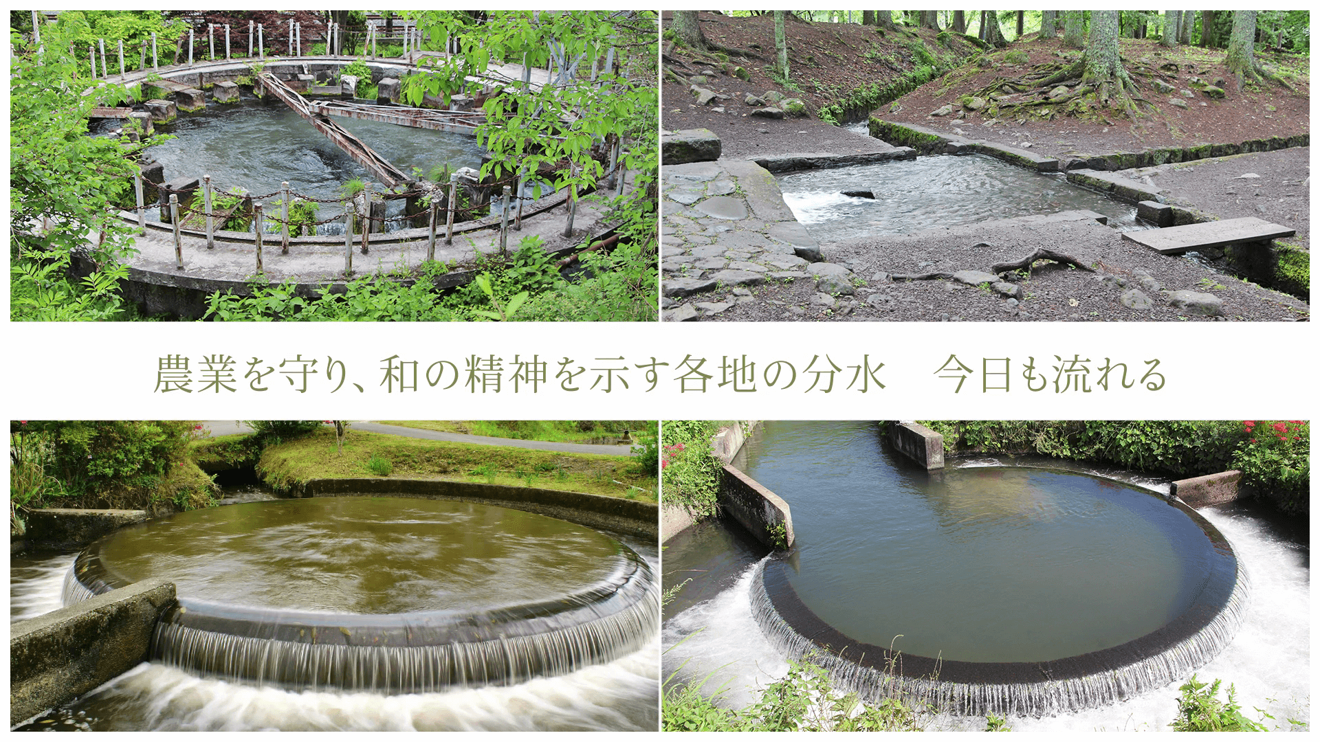 農業を守り、和の精神を示す各地の分水 今日も流れる