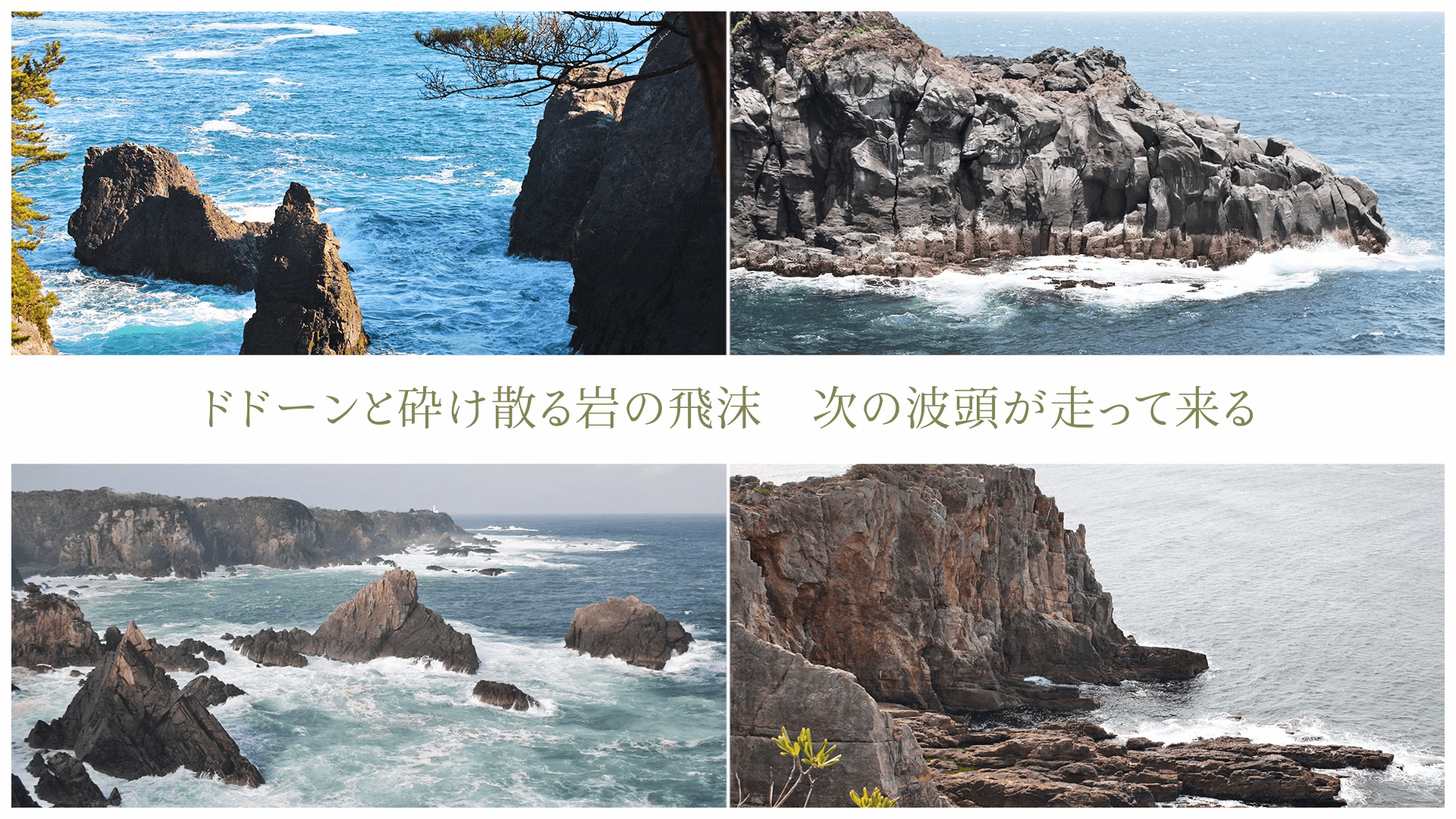 ドドーンと砕け散る岩の飛沫 次の波頭が走って来る
