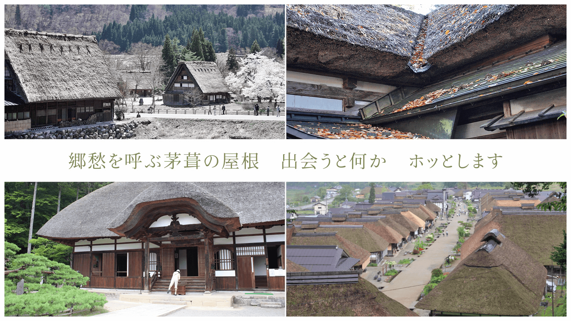 郷愁を呼ぶ茅葺きの屋根 出会うと何か ホッとします